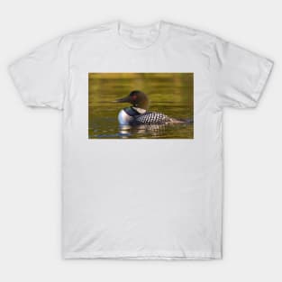 Evening Loon - Common Loon T-Shirt